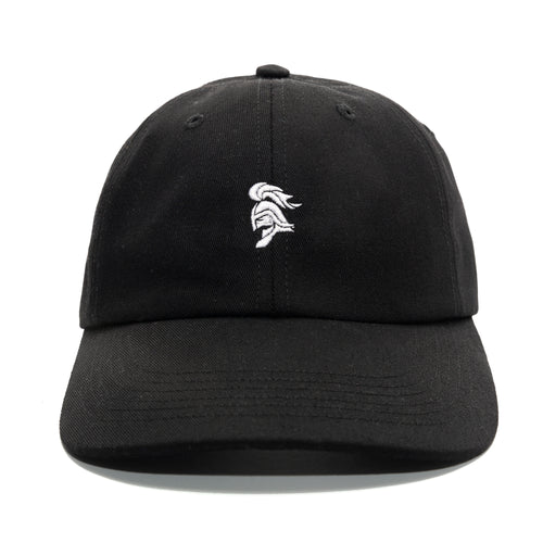 SWFC Warrior head logo dad hat