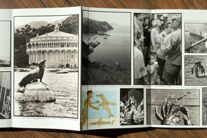 Adventures in the nearby Far Away by Ed Templeton